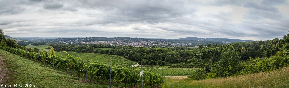 Dorking by Steve Ransome